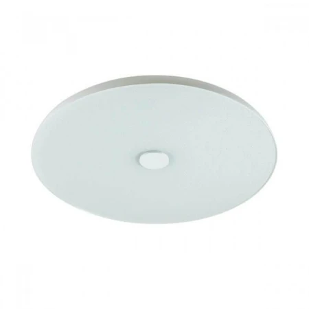 Потолочный светодиодный светильник Sonex Roki Muzcolor 4629/CL