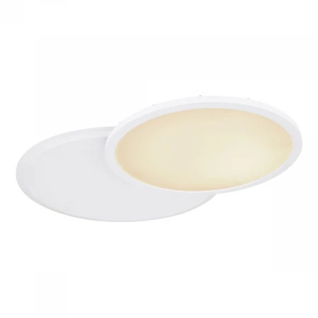 Потолочный светодиодный светильник Globo Samu 48124D1