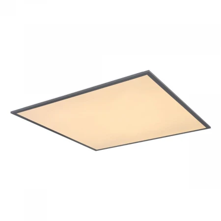 Потолочный светодиодный светильник Globo Doro 416080D3B