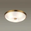 Потолочный светильник Odeon Light Pelow 4956/5