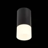 Потолочный светильник ST Luce ST100.412.01