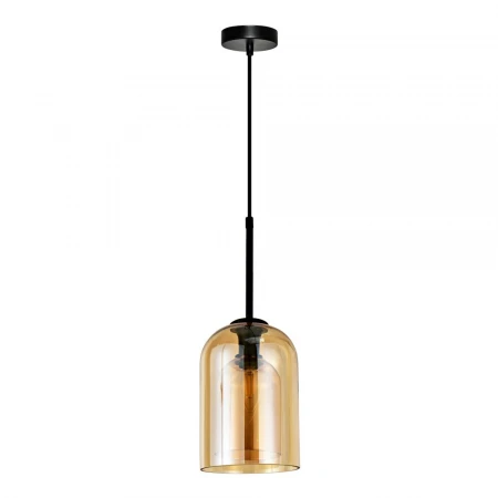 Подвесной светильник Arte Lamp Paio A7015SP-1BK