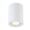 Потолочный светильник Crystal Lux CLT 410C1 WH