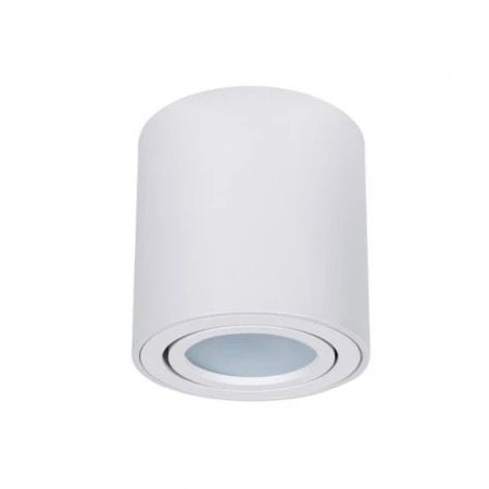 Потолочный светильник Arte Lamp Beid A1513PL-1WH