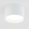 Потолочный светодиодный светильник Elektrostandard 25123/Led Banti 13Вт 4200K a058846