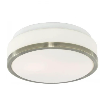 Потолочный светильник Arte Lamp Aqua A4440PL-2AB