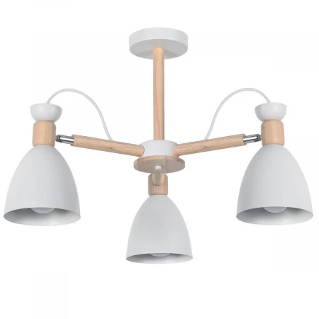 Потолочная люстра Ritter Volante 52594 3