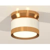 Комплект накладного светильника Ambrella light Techno Spot XS (N8909, C8101, N8124) XS8101060