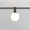 Трековый светодиодный светильник Maytoni Technical Luna TR208-1-5W3K-B
