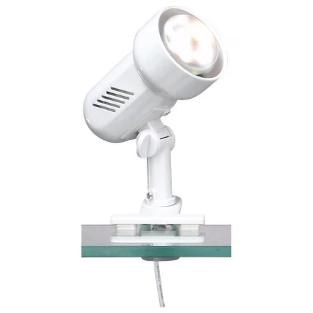 Настольная лампа офисная Basic 5496