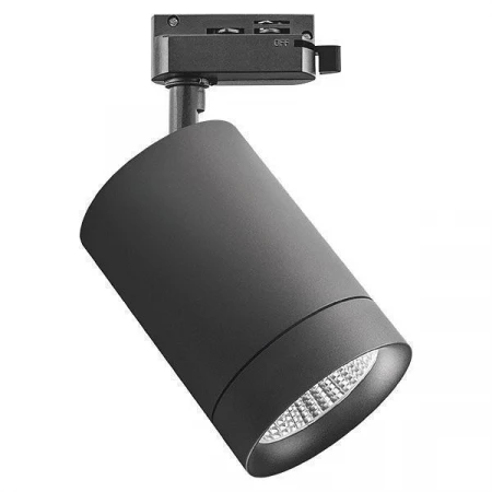 Светильник на штанге Canno 303274