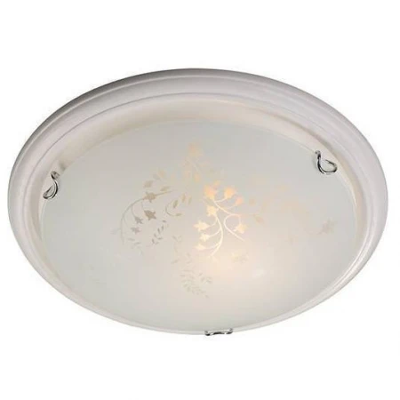 Настенно-потолочный светильник Sonex 201 BLANKETA