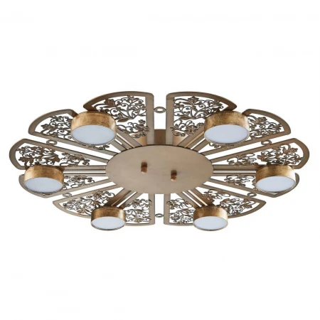 Потолочная светодиодная люстра Favourite Ornamentum 2604-6C