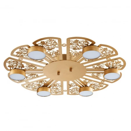 Потолочная светодиодная люстра Favourite Ornamentum 2605-6C