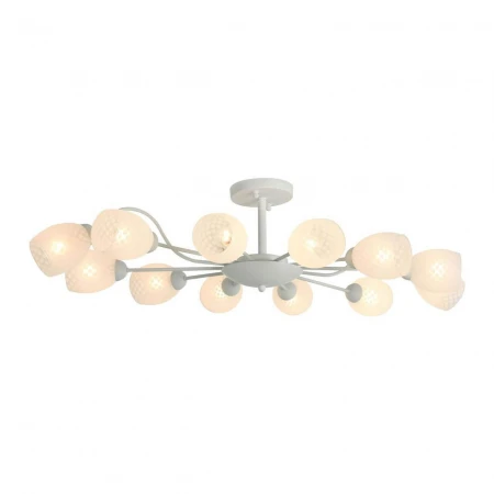 Потолочная люстра F-Promo Cluster 2266-12U