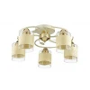Потолочная люстра Lumion Filla 3029/5C