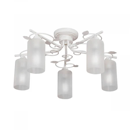 Потолочная люстра Vitaluce V4725-0/5PL