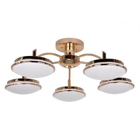 Потолочная светодиодная люстра F-Promo Ledante 2473-5P