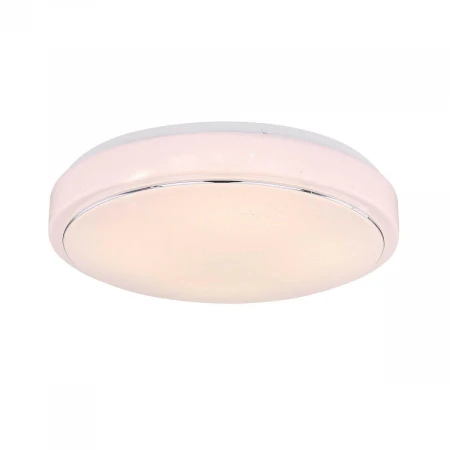 Потолочный светодиодный светильник Globo Kalle 48408-24