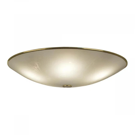 Потолочный светильник Citilux Комфорт CL911603