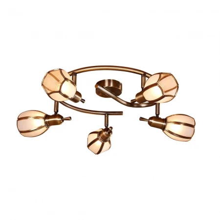 Спот Citilux Альтен-2 CL522651